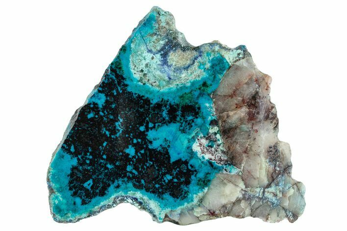 Oceanic Chrysocolla and Shattuckite Slab - Mexico #281692